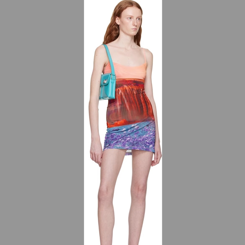 NWOT MIAOU Mesh Printed Mini Dress